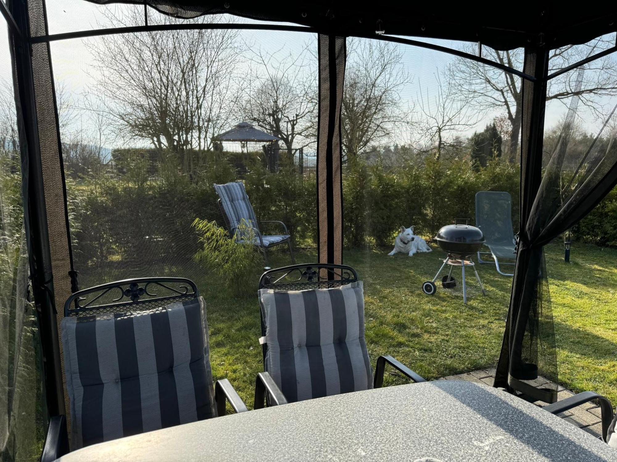Ferienwohnung Am See Dillich - Ruhige Lage - Eigener Garten - Direkt Neben Einem Natursee Borken  المظهر الخارجي الصورة